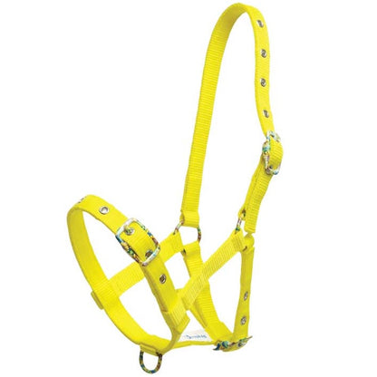 Foal Halter