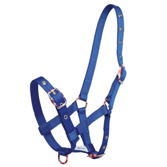Foal Halter