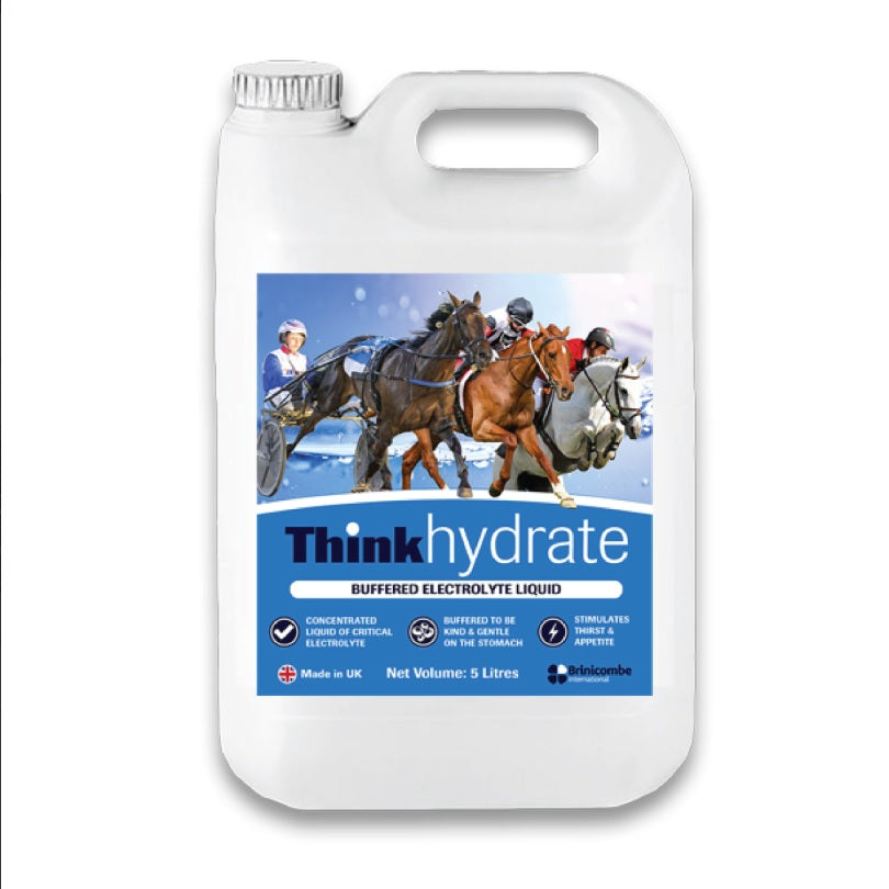 Think Hydrate