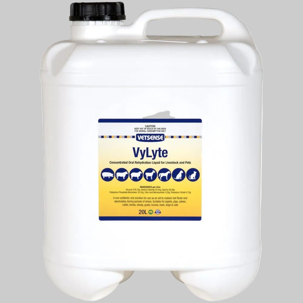 Vetsense VyLyte