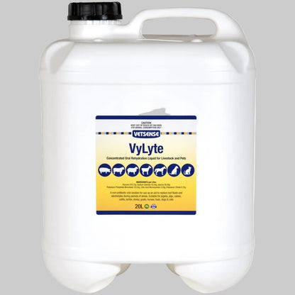 Vetsense VyLyte