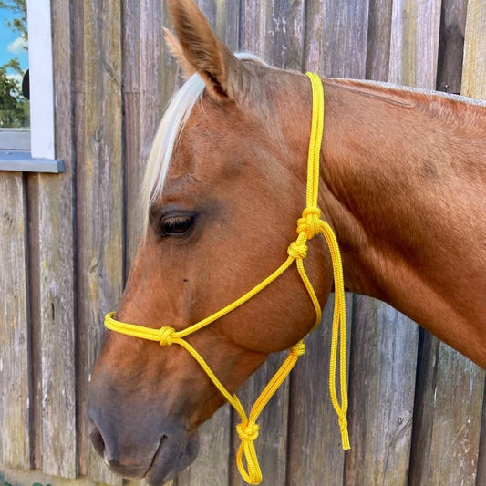Rope Halter - Single Colour