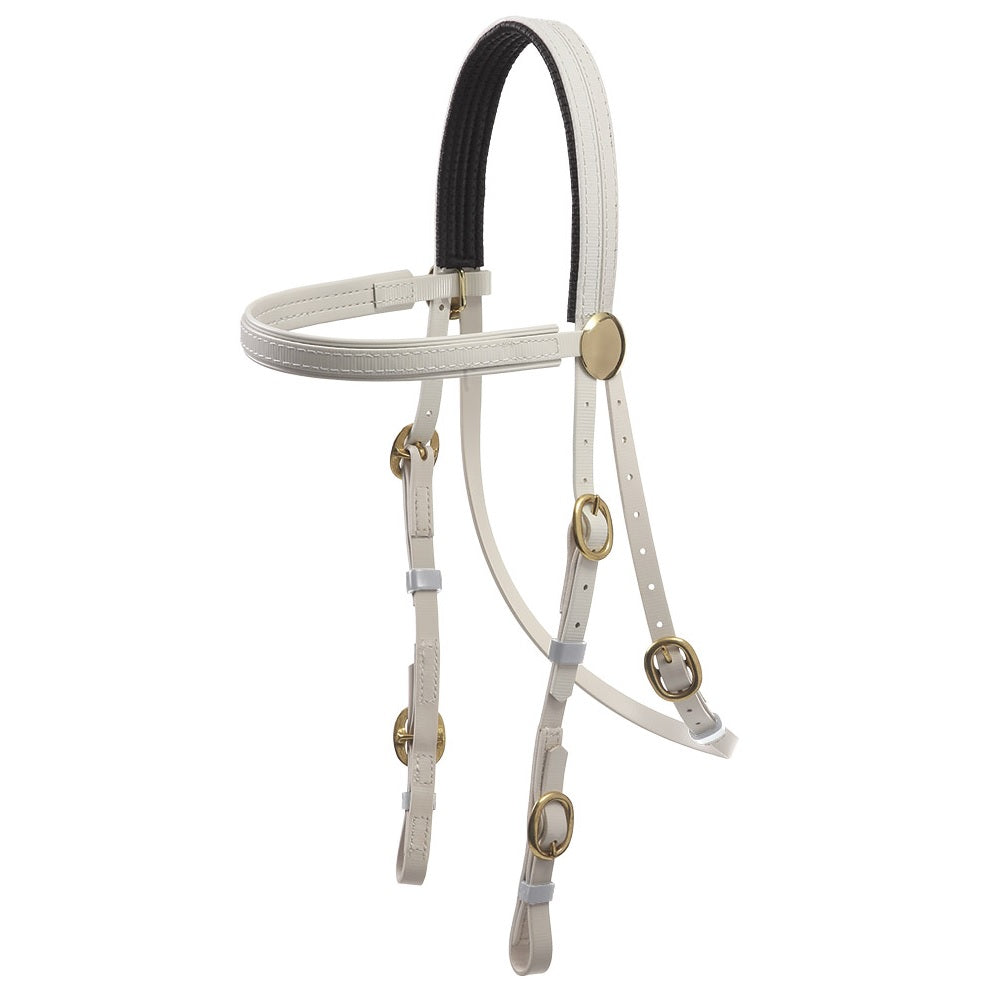 Brass Buckle Bridle